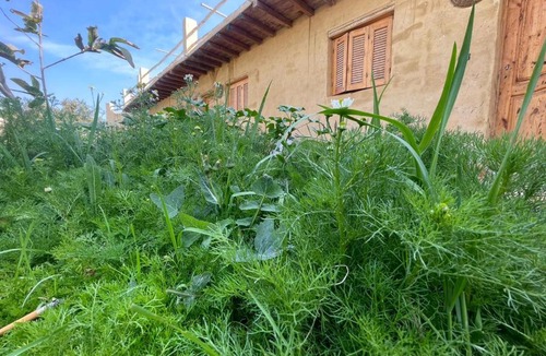 Tunis Village Other | Tunis Camp Fayoum