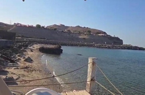 Ras Sudar Villa | Villa Gamal fawzy