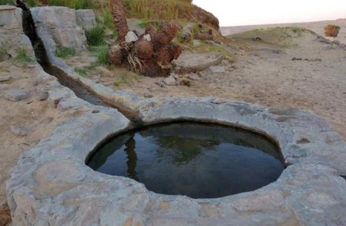 Bawati Other | Western desert safari