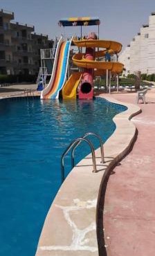 تاهيتي باي الجراوله