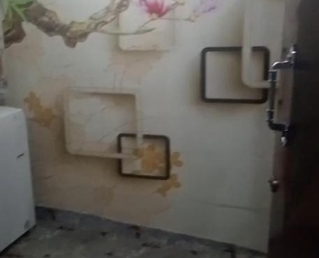 سمكة بحر