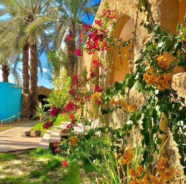 Arkan siwa أركان سيوة