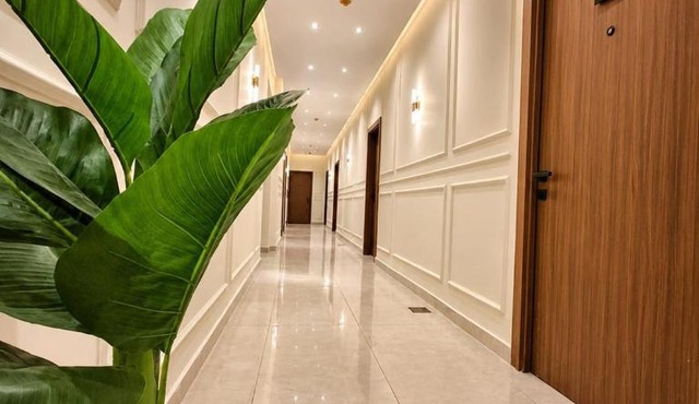 hav haven in Cairo