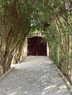 iBiZa Hostel