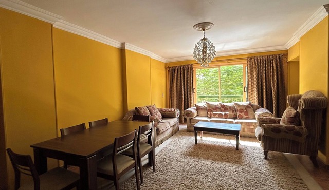 Lovely 2-bedroom apartment with AC in Cairo near the airport at Nasr City