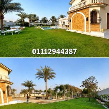 Palm Oasis Farm مزرعة واحة النخيل