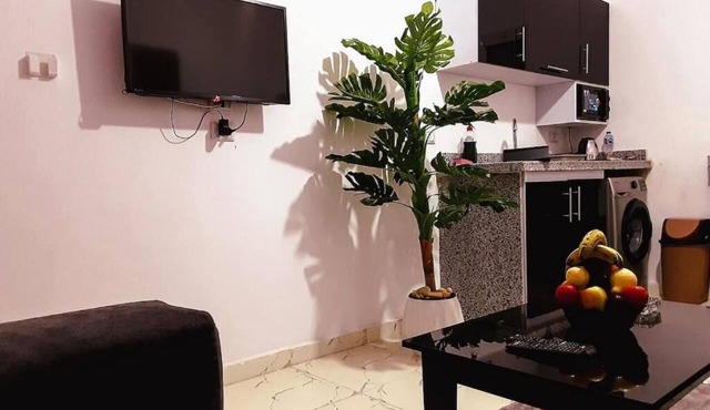 stylish cozy one bedroom apartment
