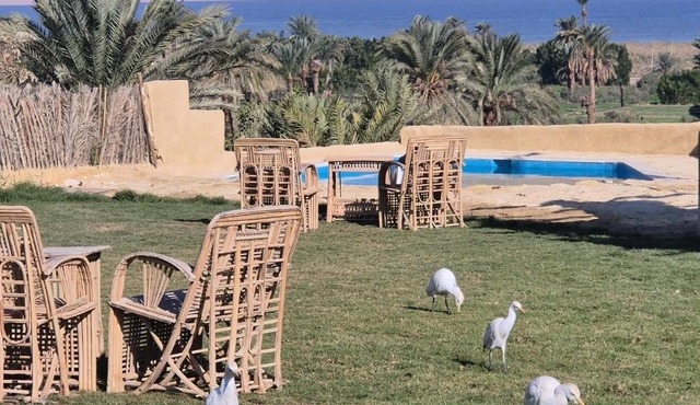 Tunis Camp Fayoum in Tunis