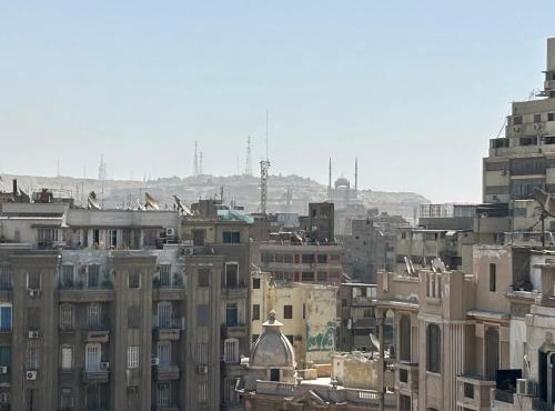 Urban oasis - near Tahrir Square