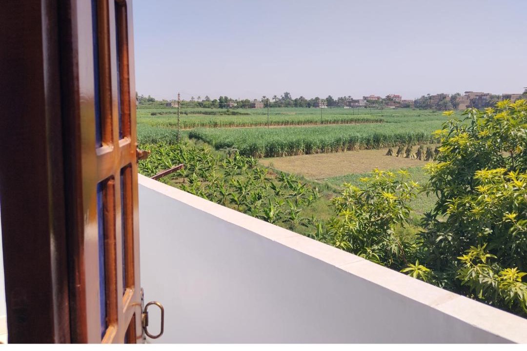 Luxor Apartment | فندق الحديقة