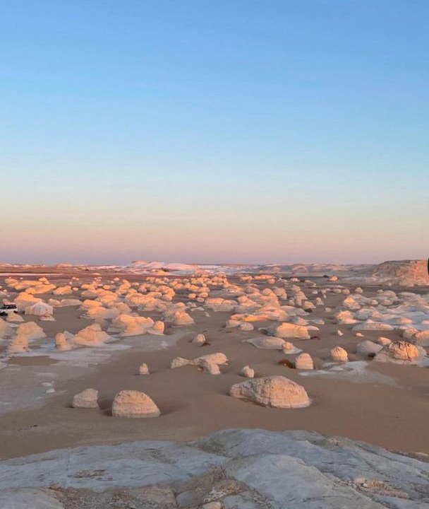 Al Bawiti Other | White Desert Tours In Egypt