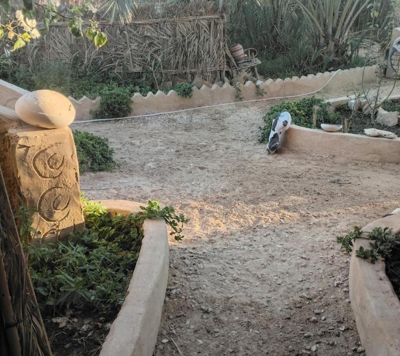 Siwa Cabin | Siwa Gardenia Cottage