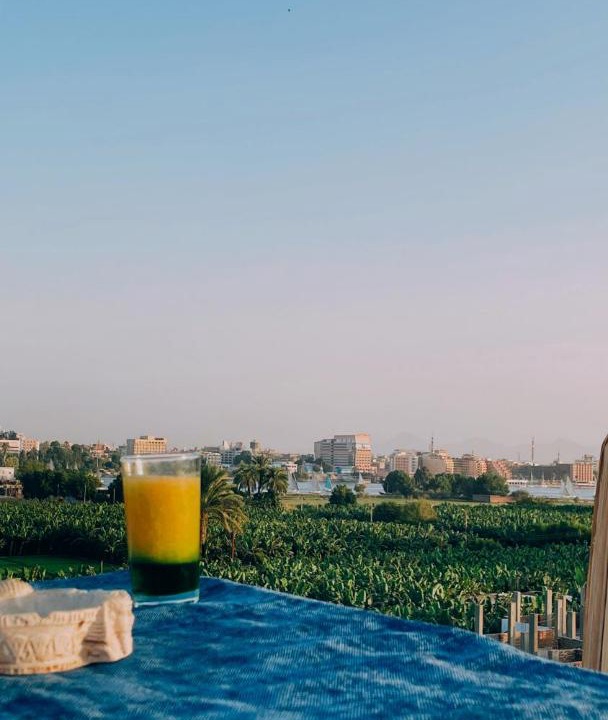 Luxor Apartment | nile shores hotel
