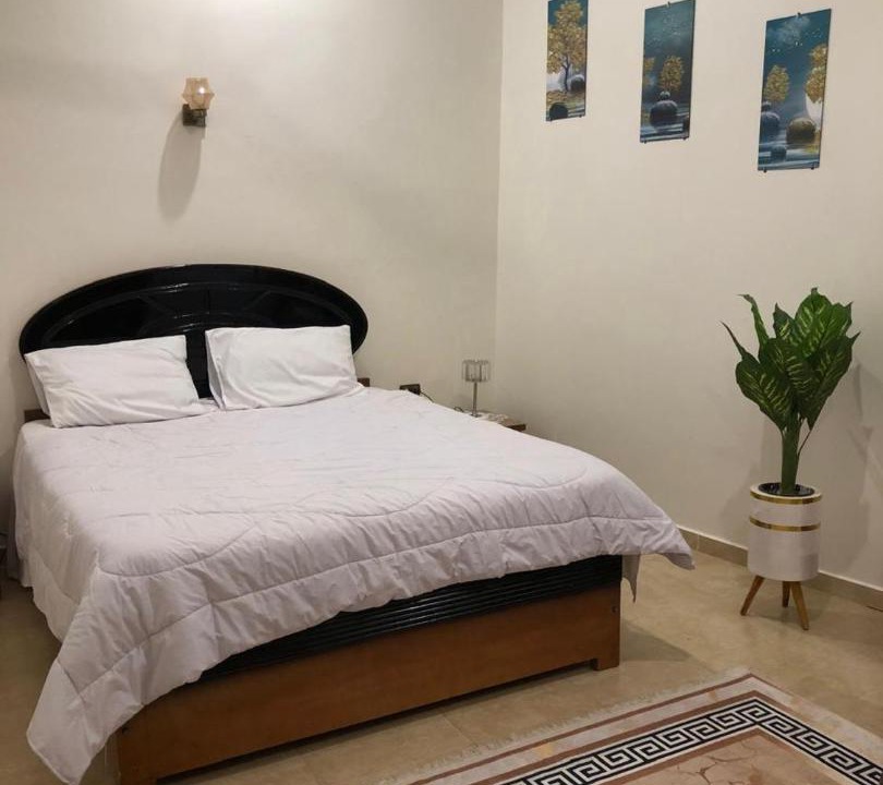 Luxor Apartment | joy house