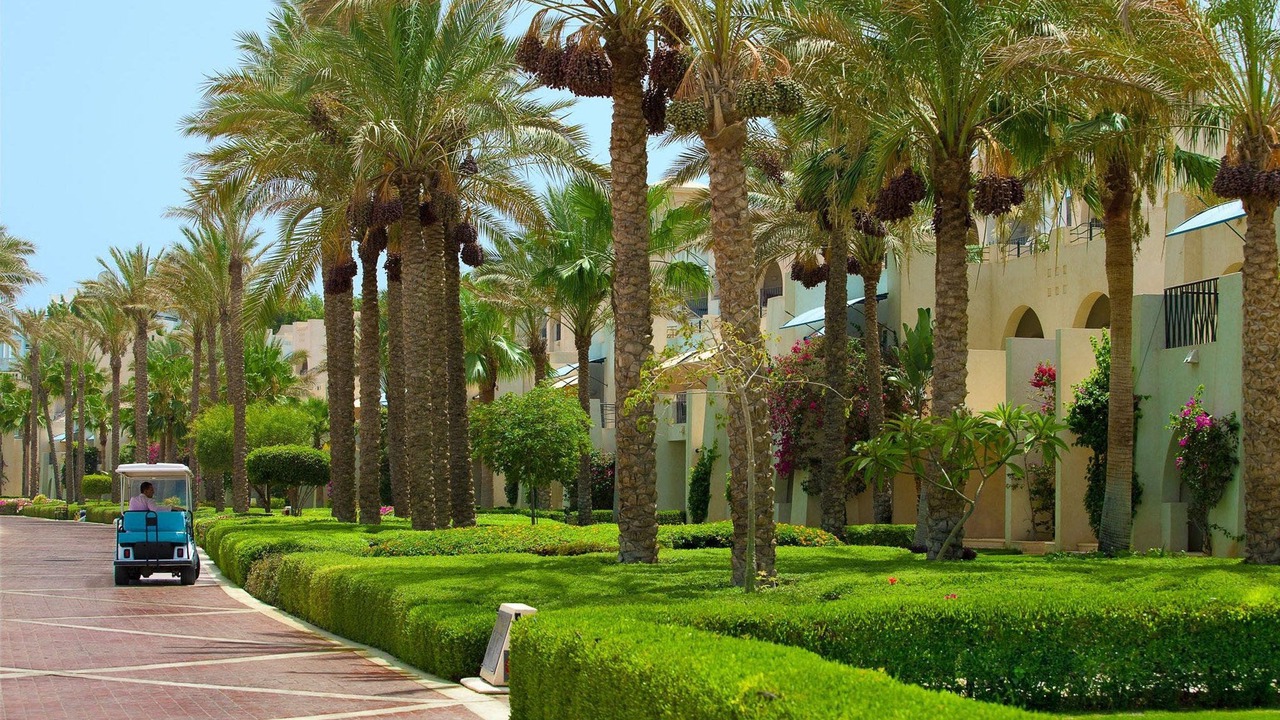 Photo of Others in Sharm El Sheikh