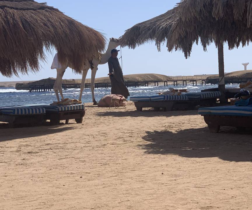 Photo of Others in Al Mamsha El Seyahi