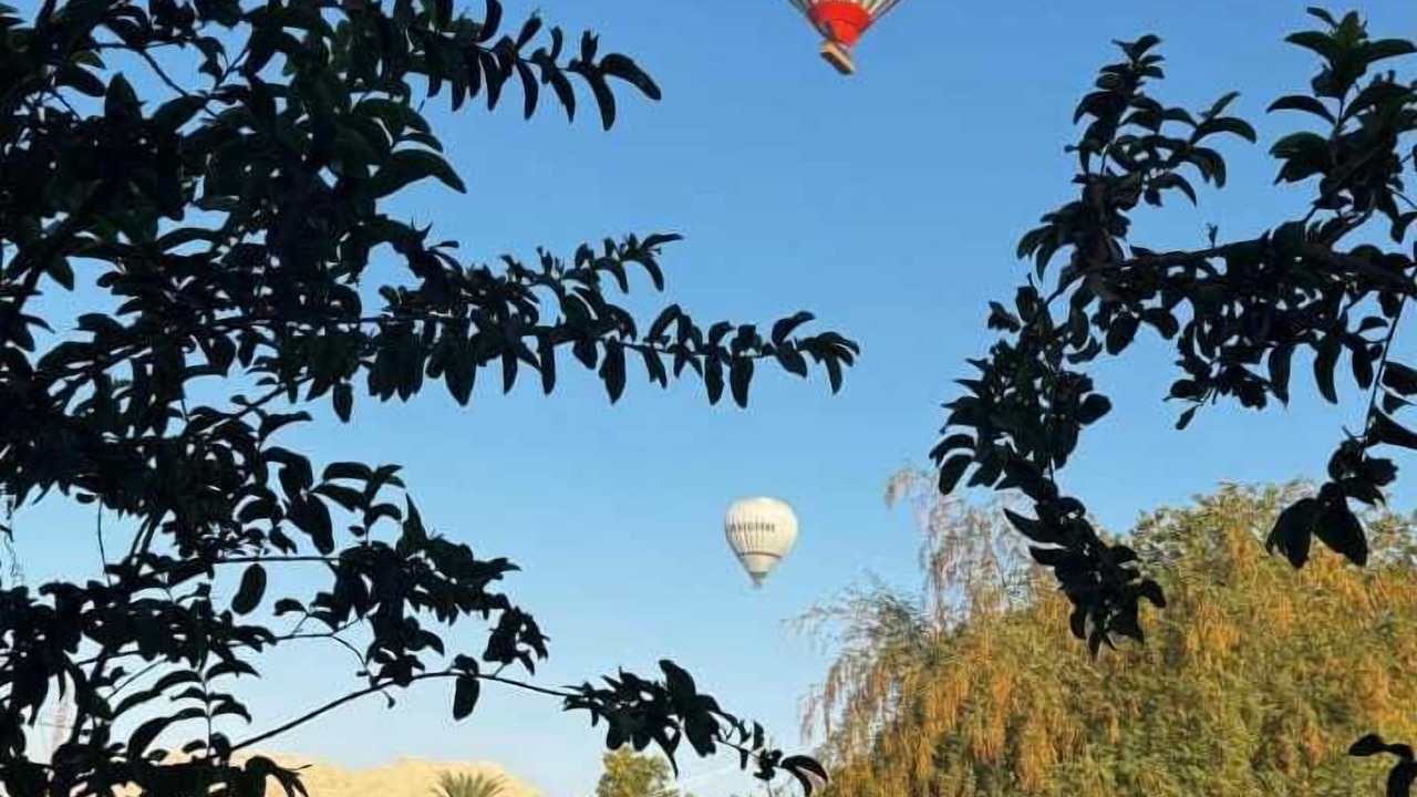 Photo of Outdoor in Luxor