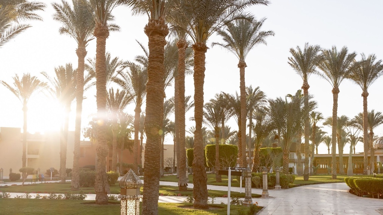 Photo of Outdoor in Al Mamsha El Seyahi