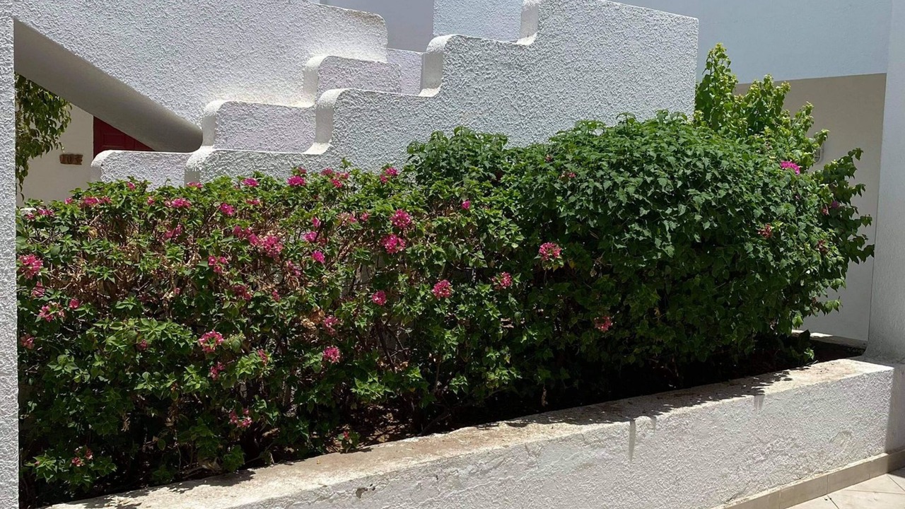 Photo of Patio Balcony in El Hadaba