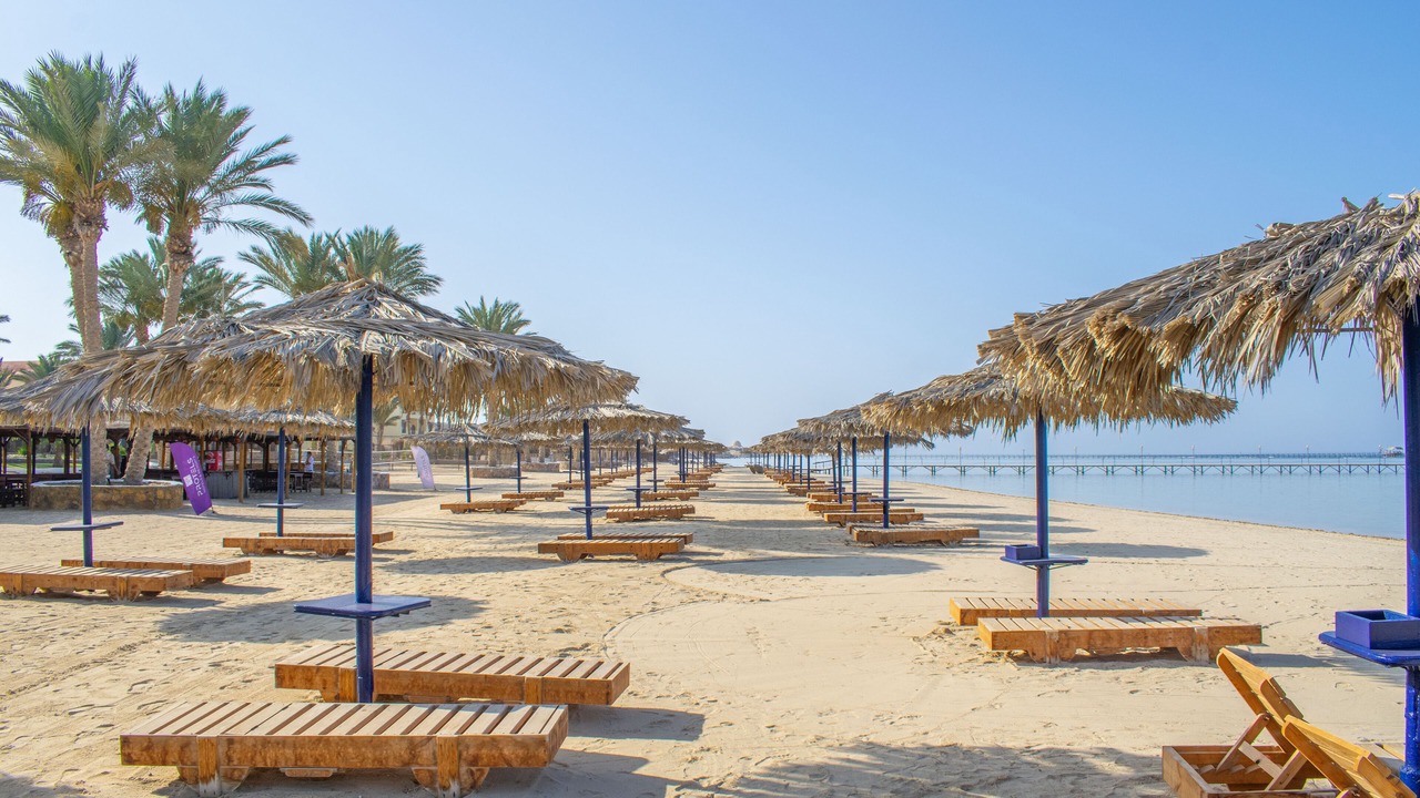 Photo of Others in Marsa Alam