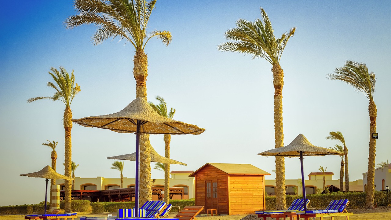 Photo of Others in Marsa Alam