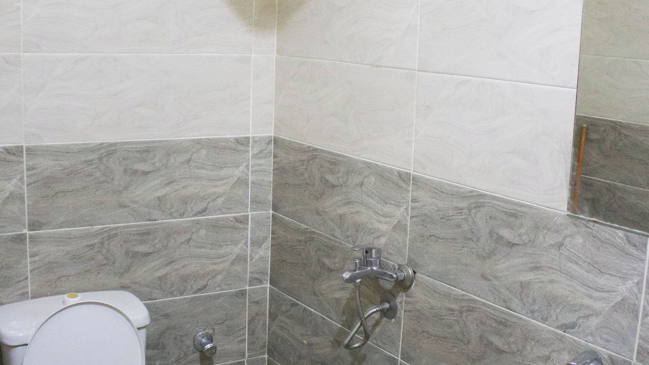 Photo of Bathroom in Abdin