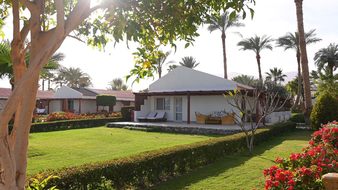 Photo of Others in Nuweiba
