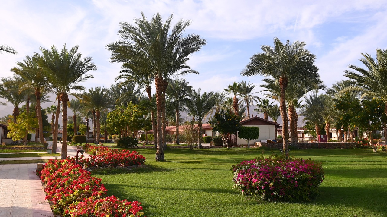 Photo of Others in Nuweiba