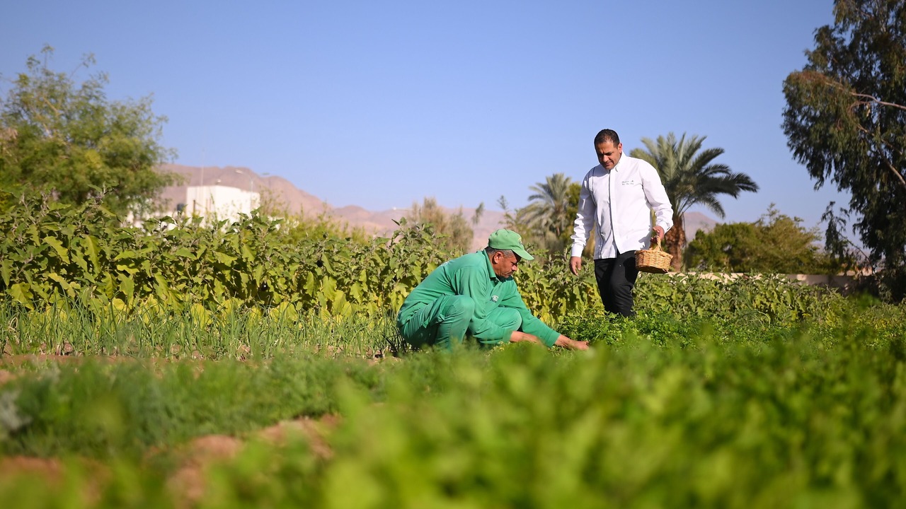 Photo of Others in Nuweiba