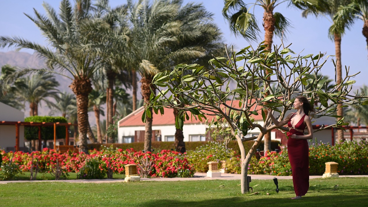 Photo of Others in Nuweiba