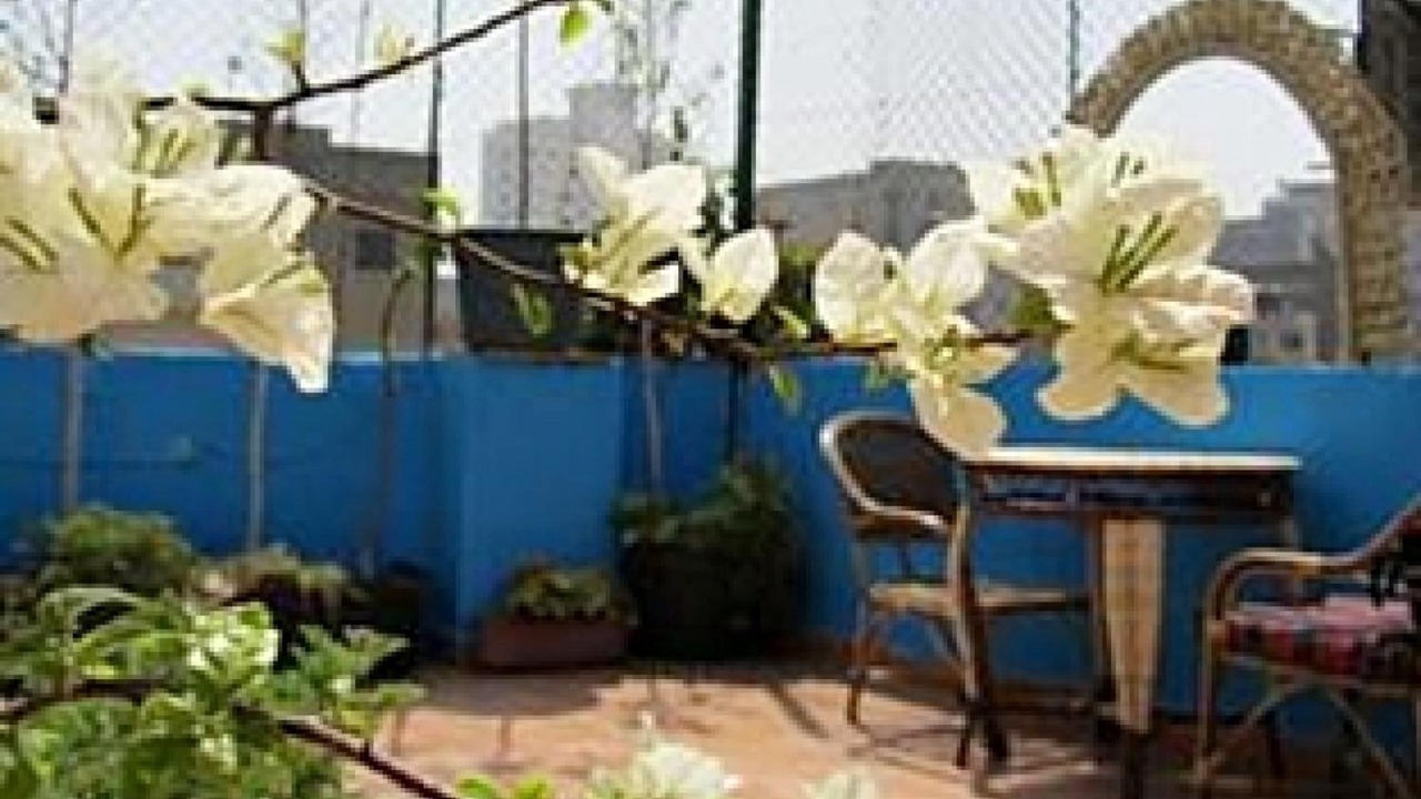 Photo of Patio Balcony in Al-Jamaliyah