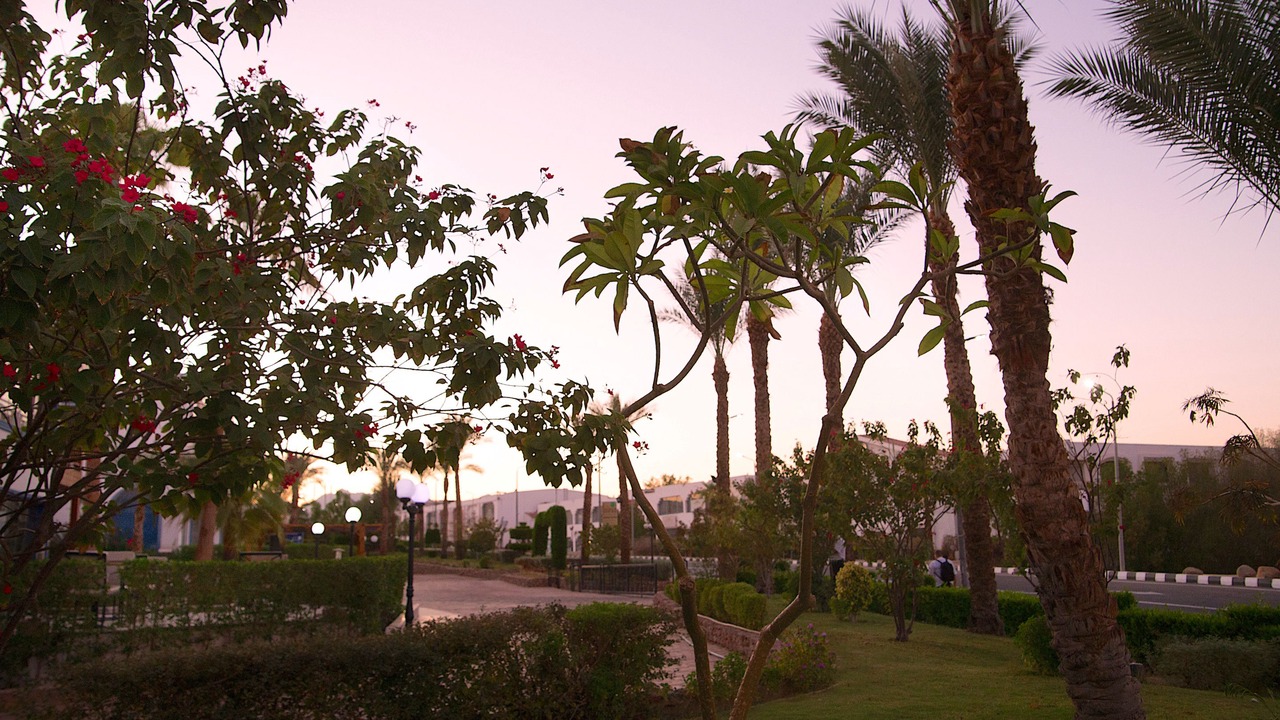Photo of Outdoor in Sharm El Sheikh