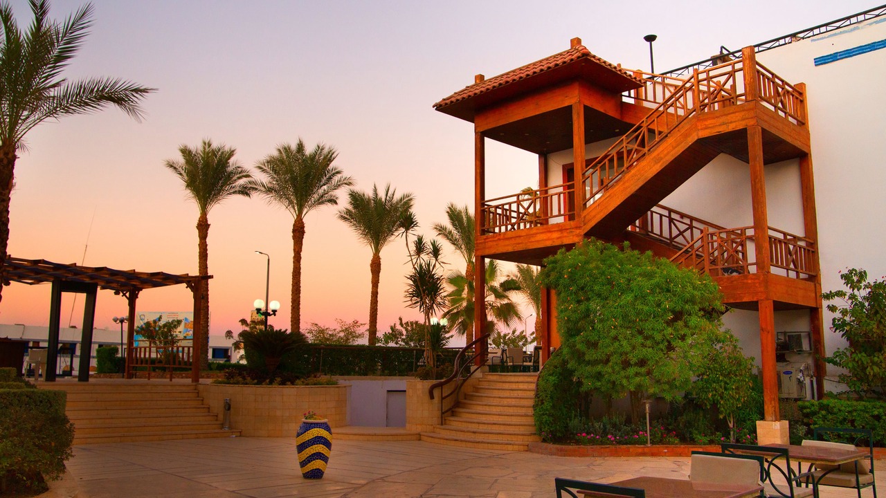 Photo of Others in Sharm El Sheikh