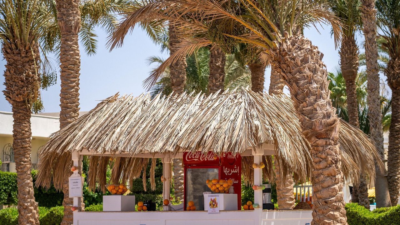 Photo of Others in Makadi Bay