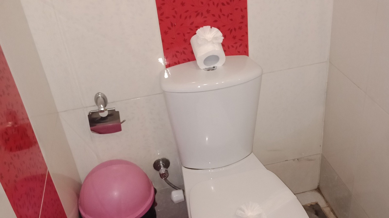 Photo of Bathroom in Qasr an-Nil