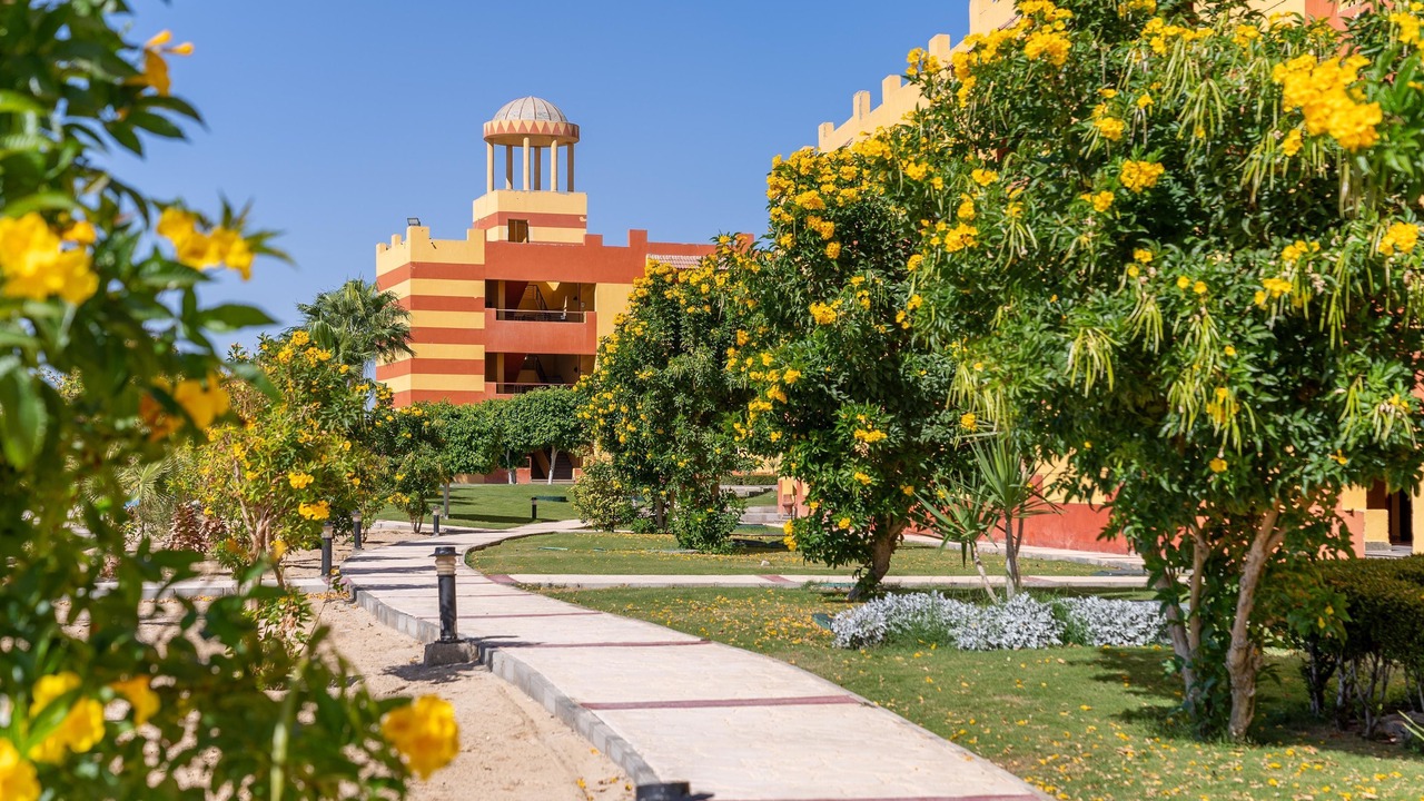 Photo of Outdoor in Marsa Alam