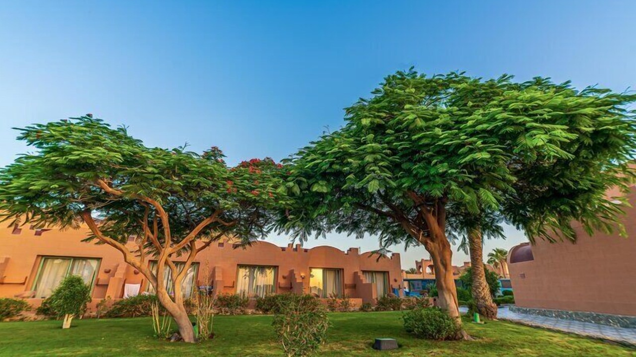 Photo of Outdoor in Port Ghalib
