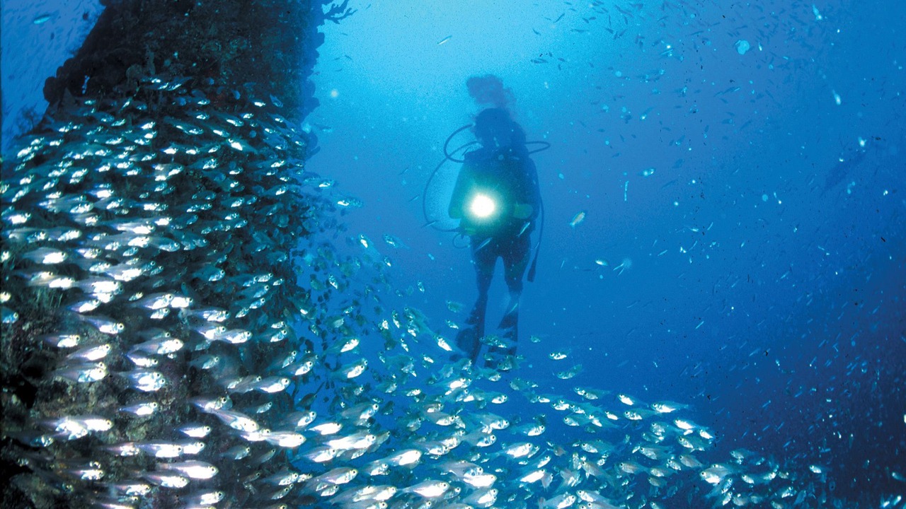 Photo of Others in El Gouna