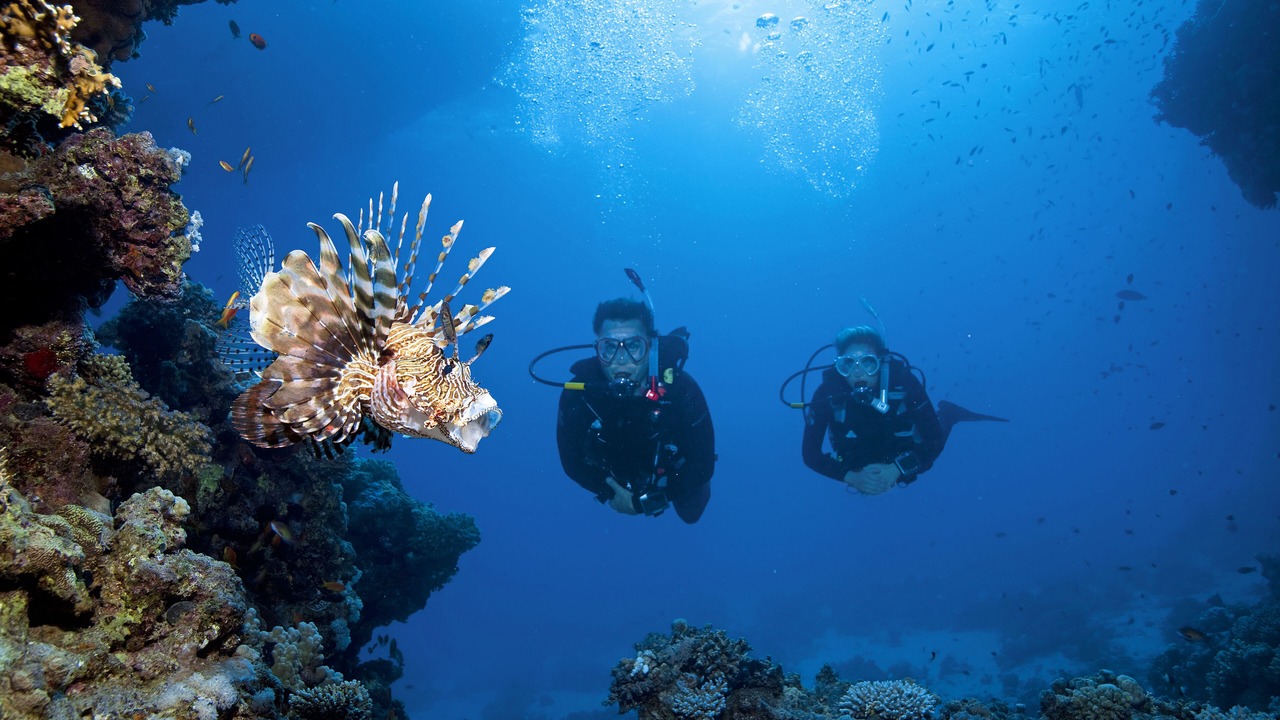 Photo of Others in El Gouna