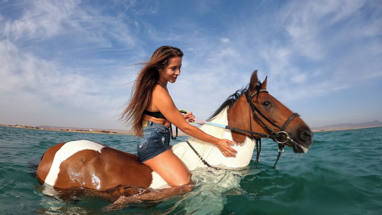 Photo of Others in El Gouna