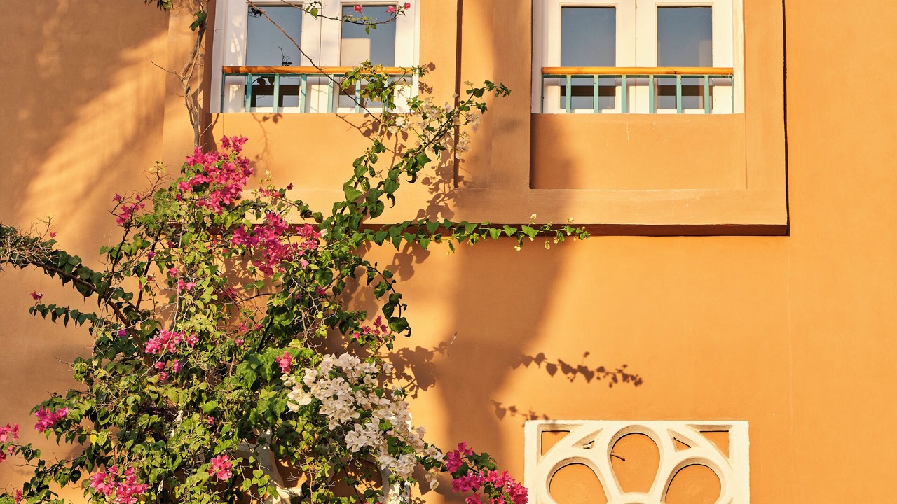Photo of Outdoor in El Gouna