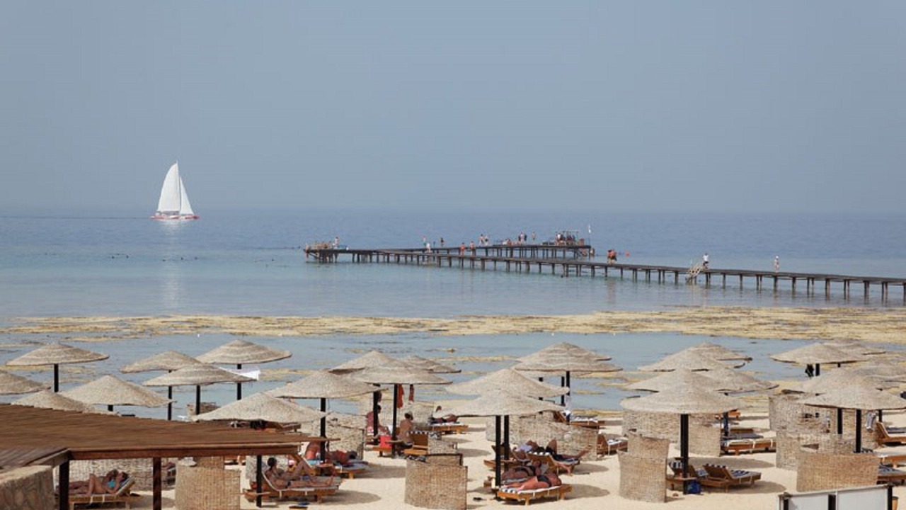Photo of Others in Port Ghalib