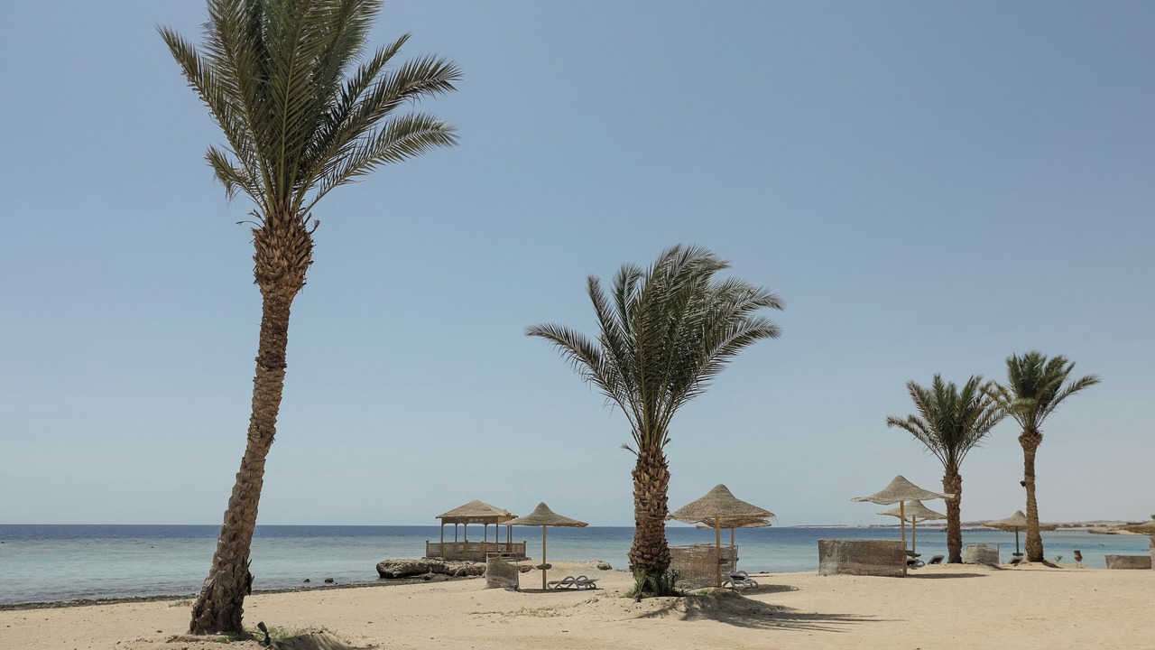 Photo of Others in Marsa Alam