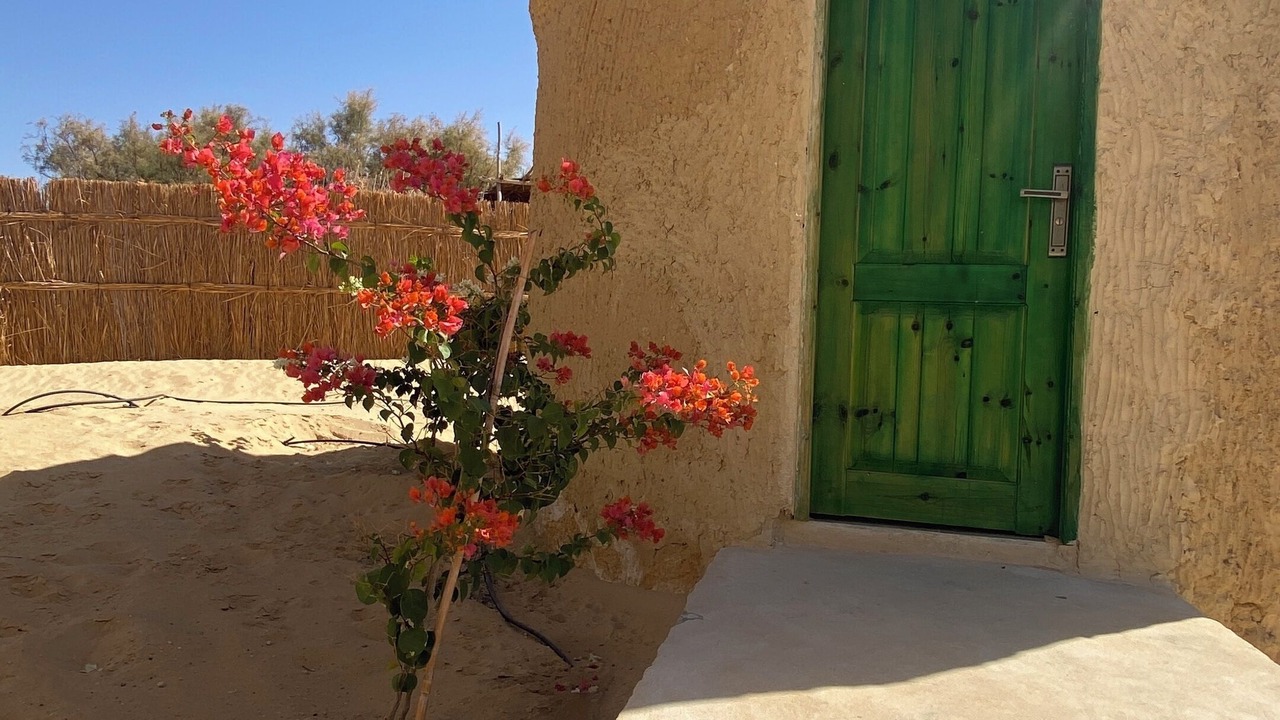 Photo of Outdoor in Marsa Matruh