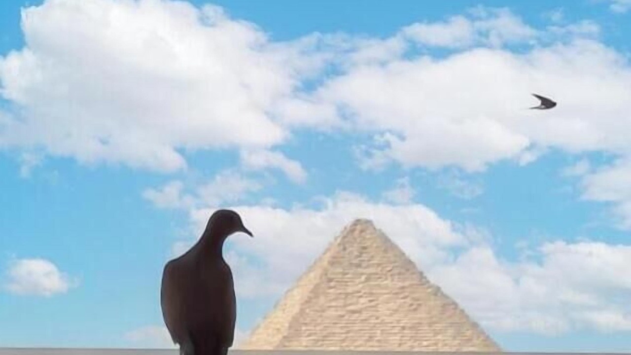 Photo of Outdoor in Kafrat al Jabal