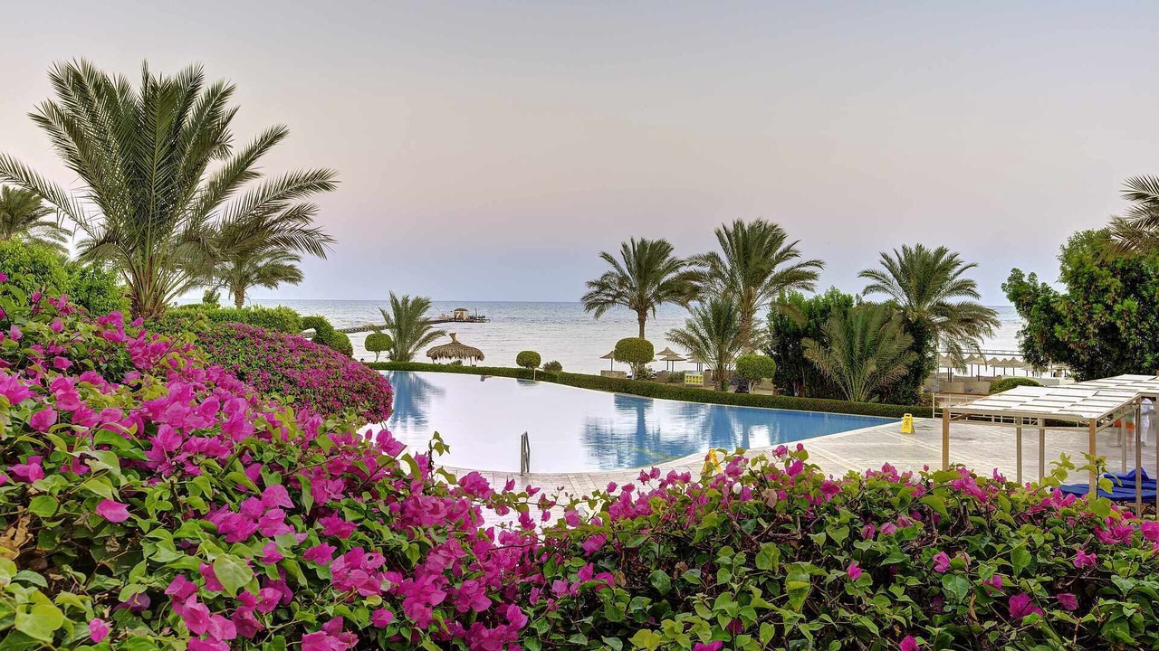 Photo of Outdoor in Soma Bay