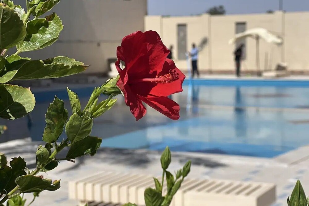 Photo of Outdoor in Al Mamsha El Seyahi
