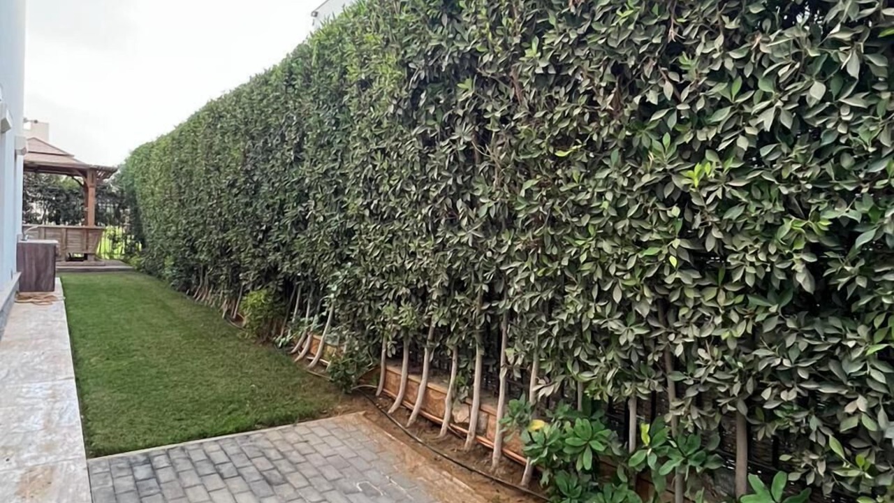 Photo of Outdoor in Sheikh Zayed City
