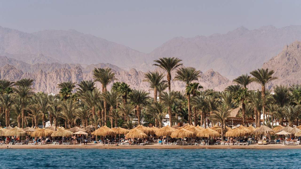 Photo of Others in Sharm El Sheikh
