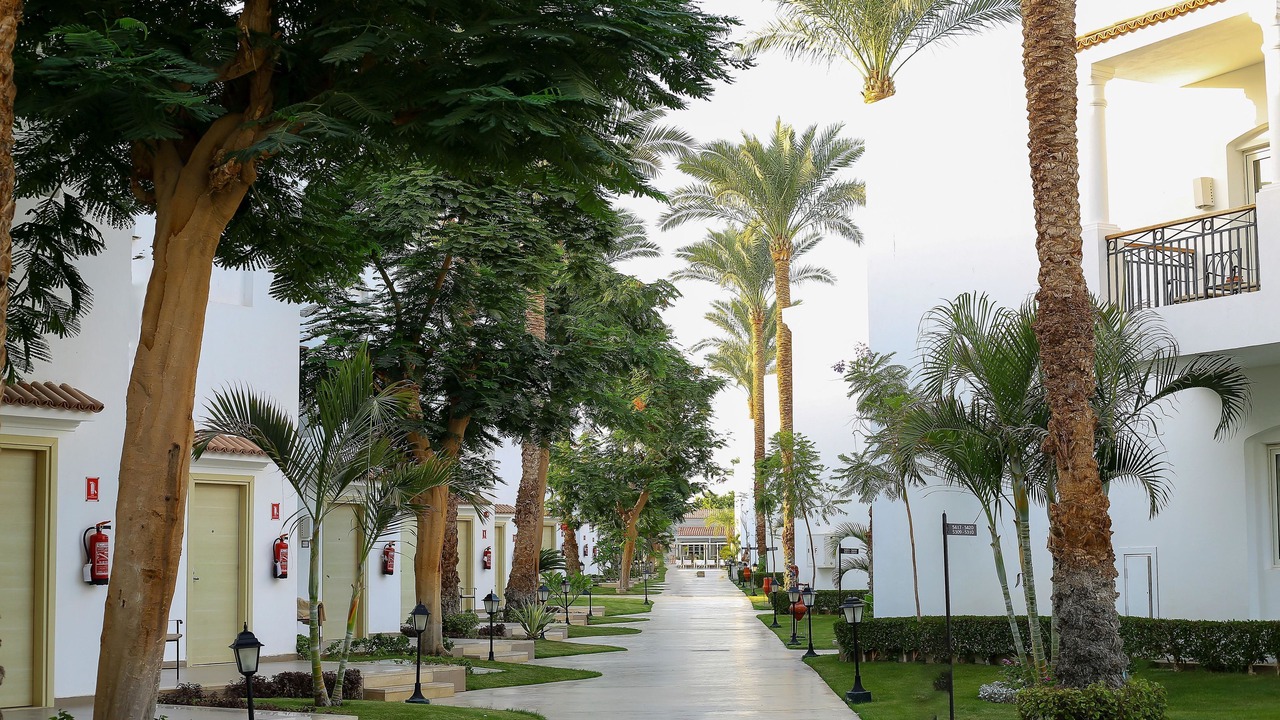 Photo of Outdoor in El Hadaba